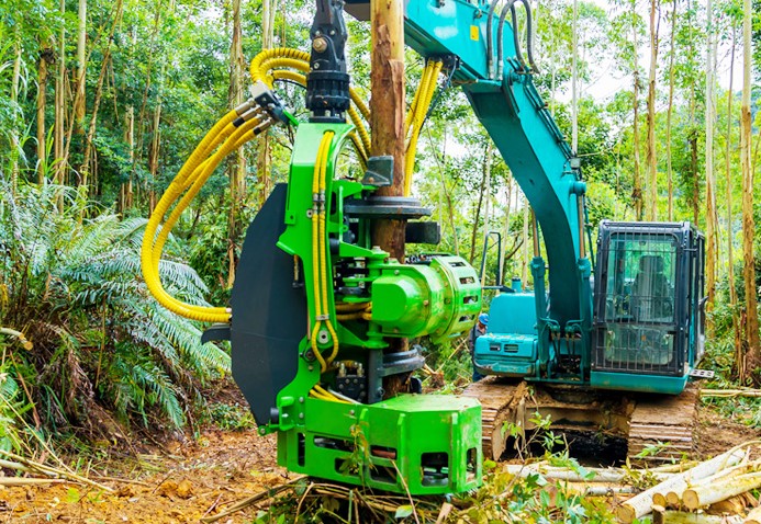 MÁY CẮT CÂY KEO VÀ KHAI THÁC GỖ THANH HOÀNG